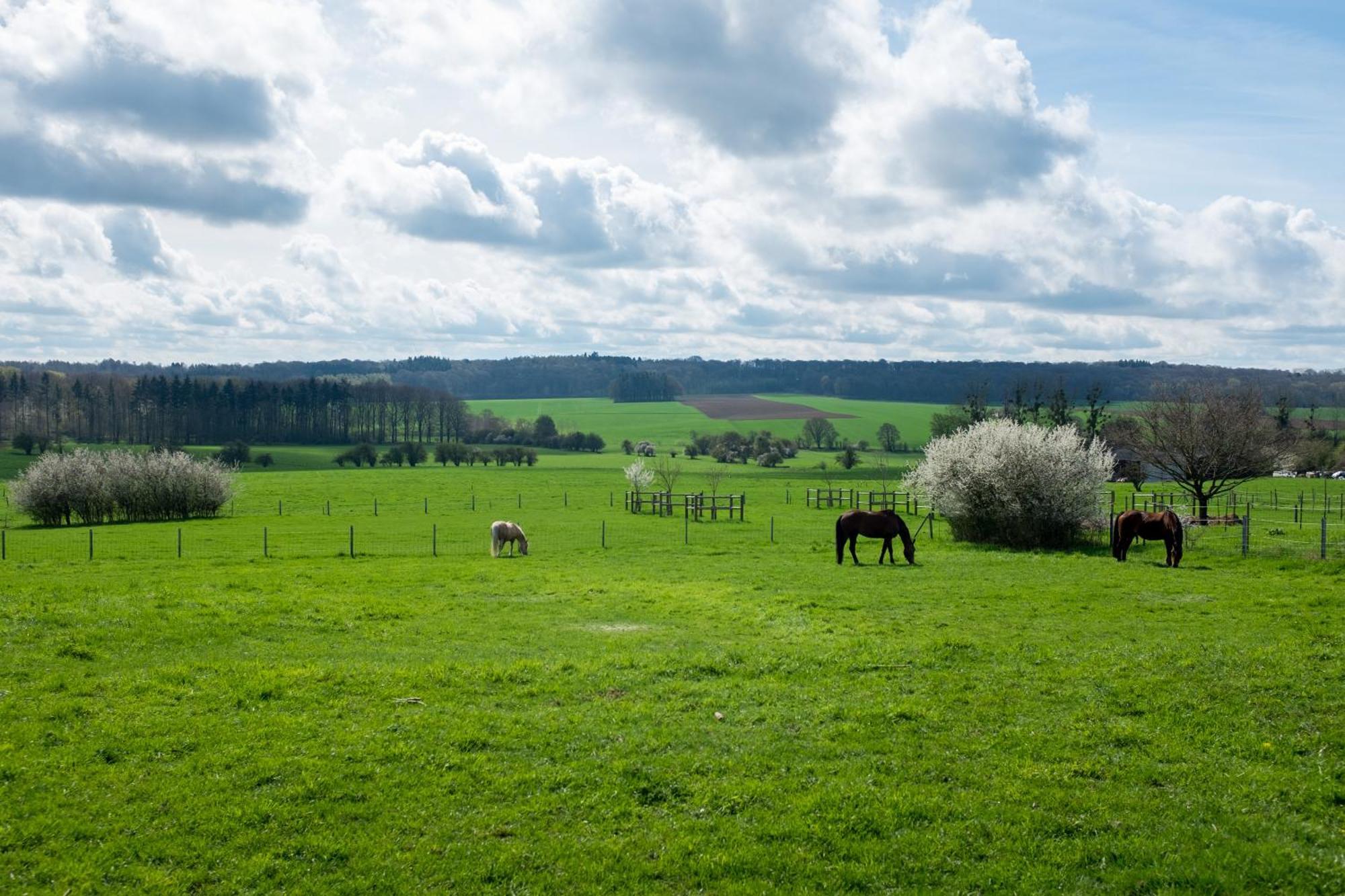 Prim'Tout Ohey Exteriör bild